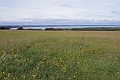 07 07 16_8624_edited-1